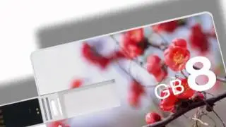 Card-Slim Style Custom USB Flash Drive