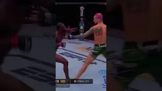 New UFC bantamweight champion!Sugar Sean O&rsquo;Maley🥶 #эдит #нокаут #seanomalley #sterling #ufc #юфс