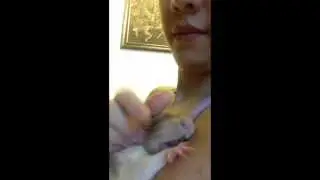 Funny pet rat getting a neck scratch!