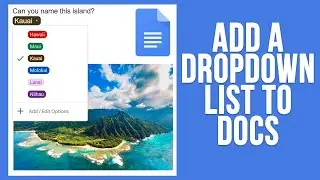 How to Add a Custom Dropdown List to Google Docs