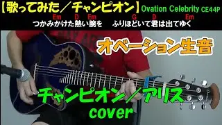 チャンピオン／アリス cover アコギ弾き語り【歌詞・コード付き】
