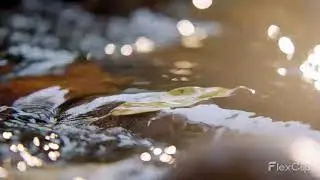 Relaxing water sounds | Peace of Mind | Relaxing Sounds | Legendary Rabbit