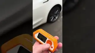 Tesla meets Flipper Zero