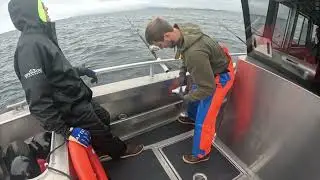 Closer to the fish