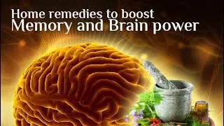 |Brain booster Ayu herbs|herbs for brain|herbs for brain health| brain booster ayurvedic herbs 🌿