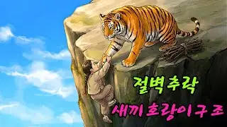 아이가 미끄러져 절벽 아래로 떨어졌는데, 새끼 호랑이 한 마리가 목숨을 걸고 아이를 끌어올렸습니다.|민담 |전설 |설화 |옛날이야기 |오디오북