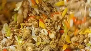  شاورما فراخ بالخضار للتفريز 