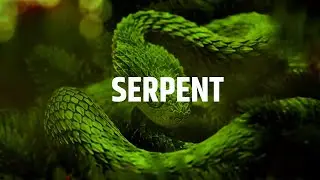 Dancehall Riddim Instrumental 2020 ~ Serpent🐍