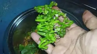 ছাদের পুঁই ফল বা মিছুরি কিভাবে রান্না করলাম আসলেই এভাবে রান্না করলে অনেক মজা,🔥