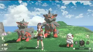 How to Catch Alpha Hisuian Growlithe/Arcanine Pokemon Legends Arceus