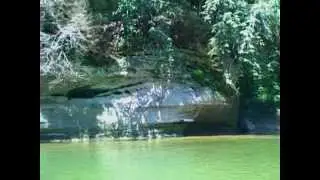 Canoe Trip Through Sugar Creek