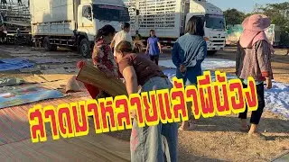 5 โมงแล้วทีมงานที่ศีขรภูมิ สุรินทร์ ￼พีน้อง#อุ๋งอิ๋งเพชรบ้านแพง #สาวน้อยเพชรบ้านแพง !!
