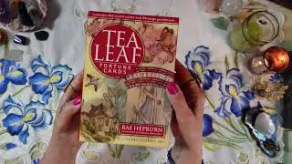 TEA LEAF FORTUNE CARDS - Deck Review - UNLOCK THE ANCIENT SECRETS OF READING TEA LEAVES - 200 CARDS!