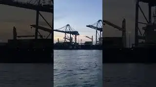 Container terminal DP world Cochin.#shipping #logistics #future