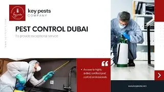Pest control Dubai : your smartest choice