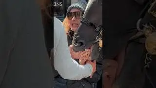 HORSE BITES DOWN ON HER HAND ⚠️🐎 | Horse Guards, Royal guard, Kings Guard, Horse, London, 2024