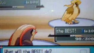Pokemon DPPt wifi battle: vs Hallonskalle (Marriland, UU)