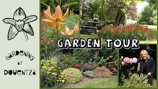 June Garden Tour || Stroll & Chat || Spotlight on Peonies, Peruvian Lilies & Furcraea