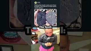 Bro what fossil is THAT 😭