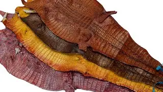 Finishing Nile Crocodile Crust