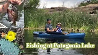 EXPLORE ARIZONA! | Camping & Fishing at Patagonia Lake State Park