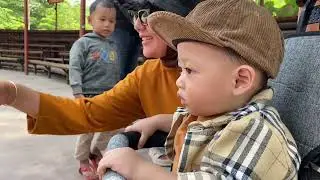 Main ke kebun binatang solo safari #adayinmylife #vlogbayi #bayilucu #solovssquad #kebunbinatang