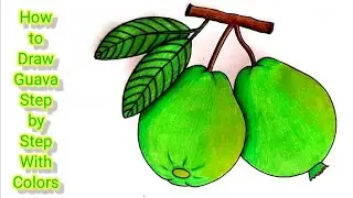 How to Draw Guava Step by Step with Colors