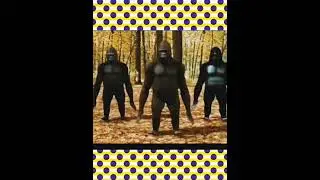 Gorilla dancing for Tum Tum Song#shorts #tumtumsong#enemy