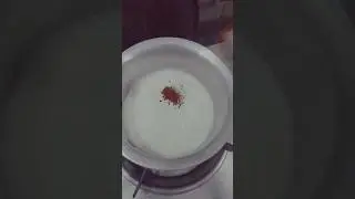 #coffeelovers😋