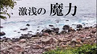 【石鯛釣り】何の変哲もない激浅ゴロタにひそんでいたのは...!?（98）