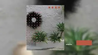 Fekete Tengerifű Falit&uuml;k&ouml;r - 90 cm | SUNKEN FOREST