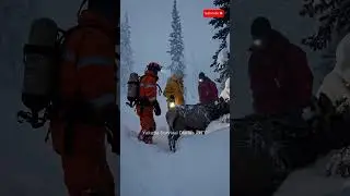 Deer Trapped in Abandoned Net 🦌 Rescue Moment