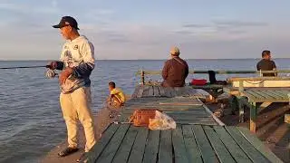 fishing  !! #fishing