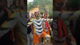 Pili | Hulivesha | Tiger Dance #shorts #pili