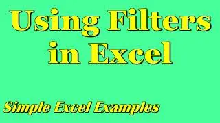 Filters in Excel (Simple Example)