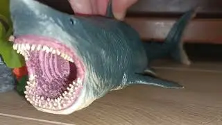 Megalodon VS Basilosaurus