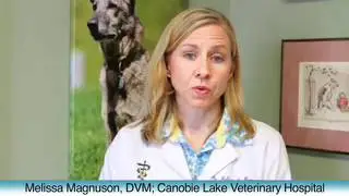 Dr.Magnuson ScanX Duo&trade; X-Ray Digital Imaging Testimony