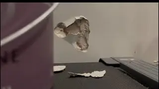 (Epilepsy warning  ⚠️) Fixing Andrew&rsquo;s wall in 24 hours the documentary