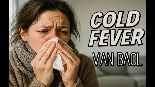Cold Fever - Electronic Vibes by Van Baol