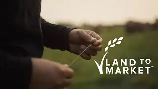 What is Regenerative Agriculture? - Land to Market