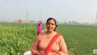 How To Make Saag At Home | Sarson Ka Saag | 2021