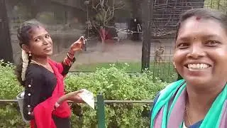 Exploring Vandaloor Zoo  Vlog