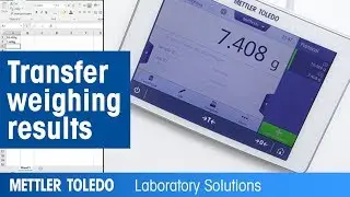 How to transfer weighing results to an Excel sheet from XPR balances