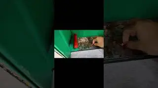 coins into cash# raw realistic # usa # 2025 # viral short videos