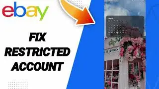 How To Fix Restricted Account On Ebay App 2025