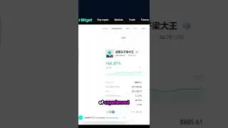 How Bitget's copy trading lets beginners automatically copy expert strategies