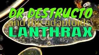DR DESTRUCTO AND THE ADAPTOIDS - Lanthrax (animated)