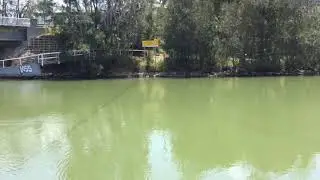Budgewoi Creek - Central Coast NSW