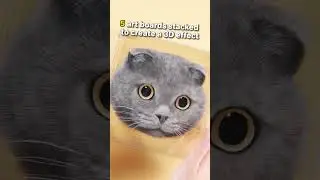 Immortalize your fur baby ✨あの子の姿を永遠に残そう#3Dpetmodel #petremembrance #custompet  #animalart  #cat
