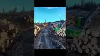 Logging in Alaska